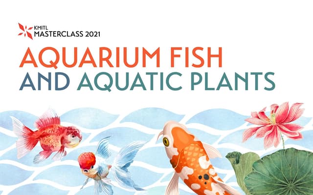 Aquarium fish and aquatic plants